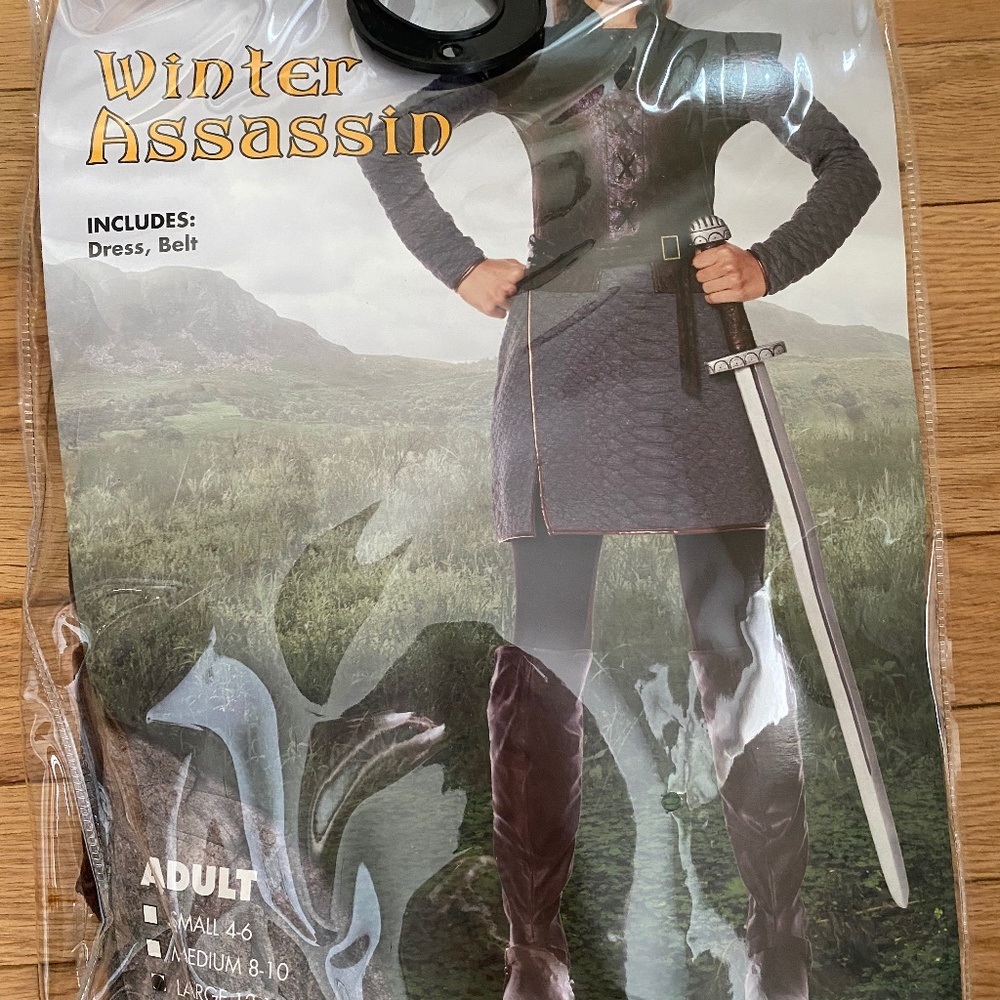 Arya Stark Winter assassin costume